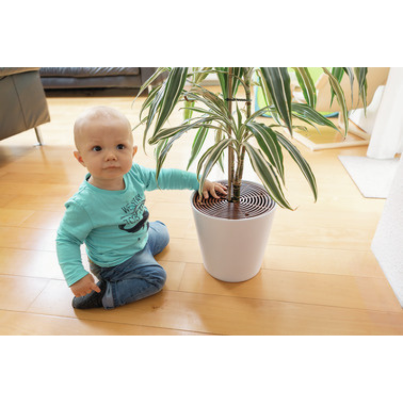 NOAH Plantebeskytter - Billede 2